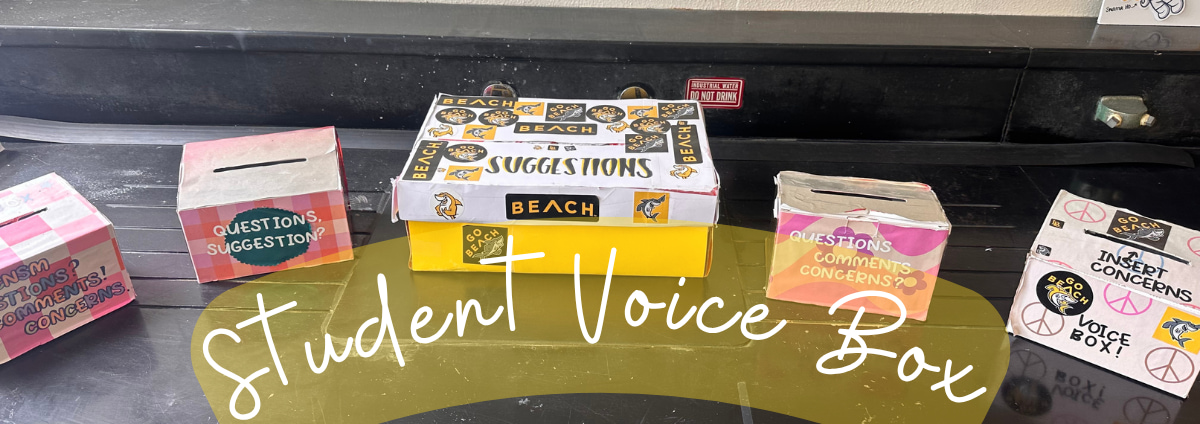 Listening at Scale: What 904 Student Voices Told Us About Life at The Beach