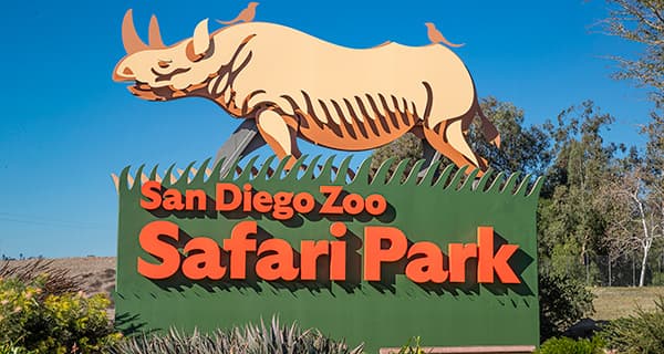 San Diego Wildpark Ticket