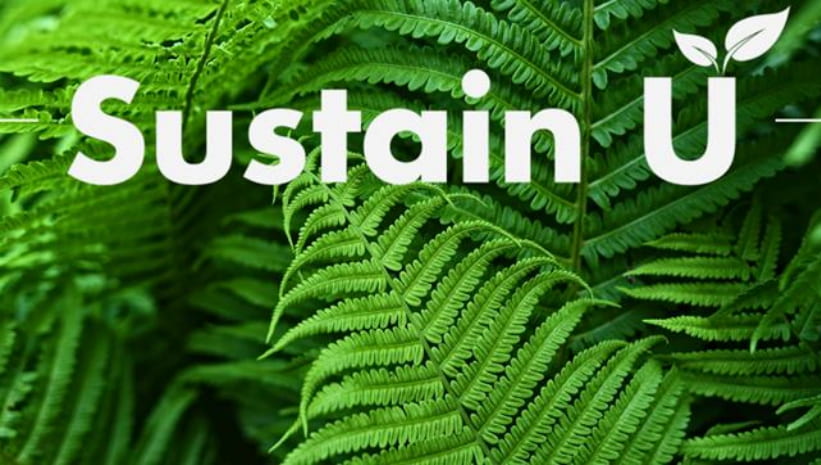 Workshop: sustainability cycle